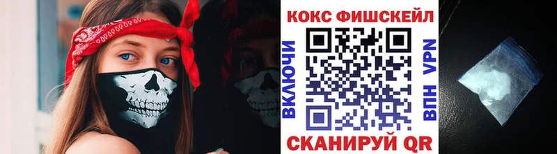 купить закладку  Павлово  COCAIN Fish Scale 