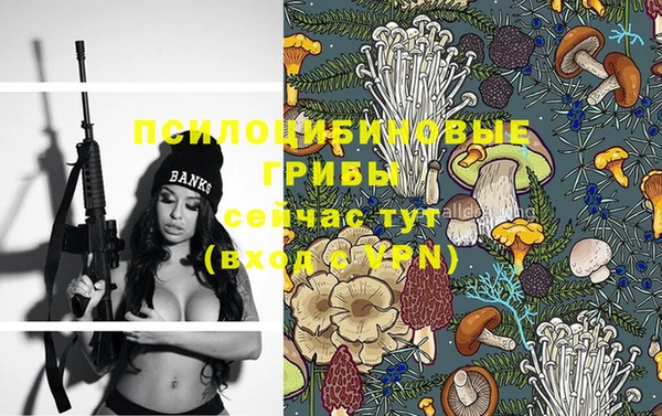 прущие крисы Арсеньев
