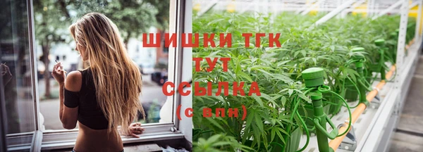 прущие крисы Арсеньев