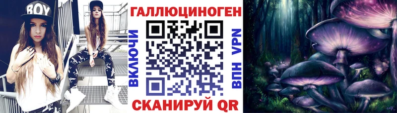 Галлюциногенные грибы Psilocybe  kraken рабочий сайт  Павлово 